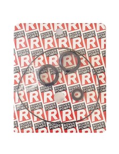 Zestaw naprawczy pompy (938035)