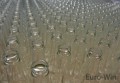 product_1253_image_2245.jpg