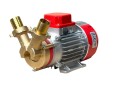 Marina 25 -12V.jpg
