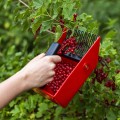 product_1057_image_4723.jpg