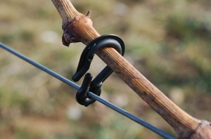 Klipsy do łóz - 1000 szt.