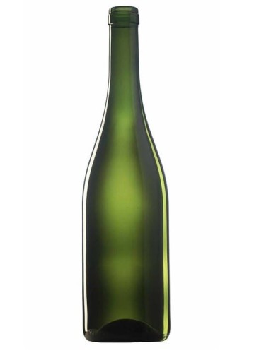 alta oliwka.jpg